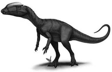Dinosaure Lophostropheus : un dinosaure qui a vécu à l’aube du Jurassique en France.