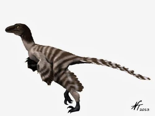 Geminiraptor.