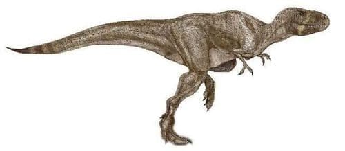 Le dinosaure Indosuchus.