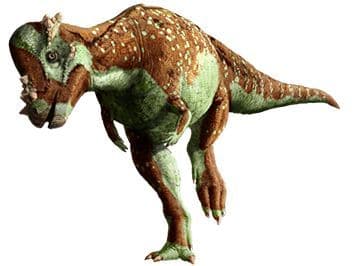 Le dinosaure Pachycephalosaure.
