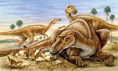 Maman Maiasaura avec ses oeufs et des petits.