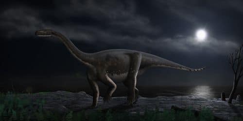 Melanorosaurus.