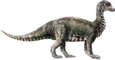 Mussaurus.