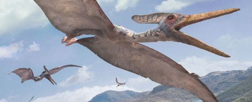 Un vol de Pteranodons, des reptiles volants qui ont vécu au temps des dinosaures.