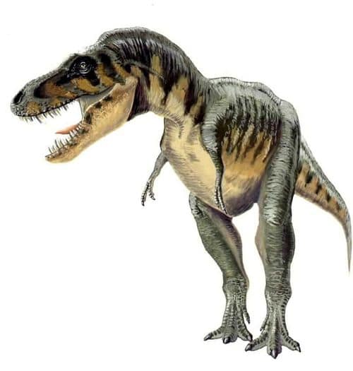 Le dinosaure Tarbosaurus.