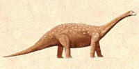 saltasaurus.