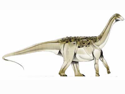 saltasaurus.