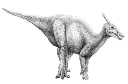 Dinosaure Saurolophus.