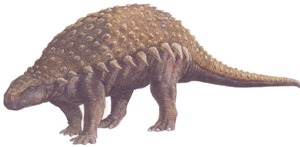 sauropelta.