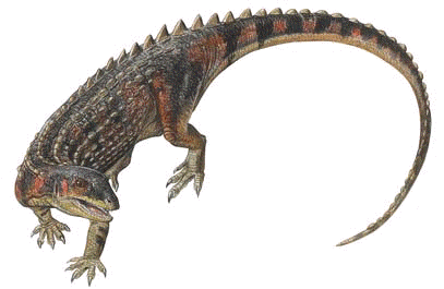 scutellosaurus.