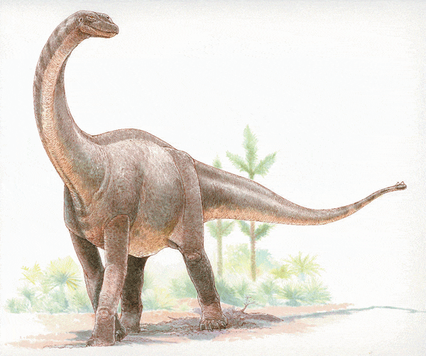 shunosaurus.