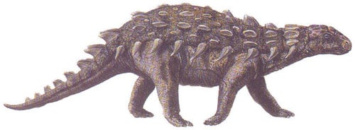 silvisaurus.