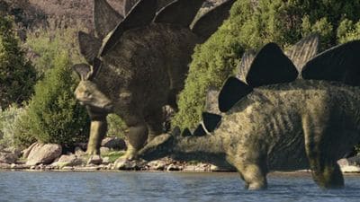Dinosaure Stegosaure.