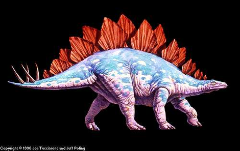 Dinosaure Stegosaurus.