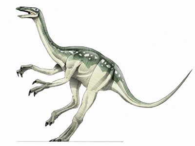 struthiomimus.