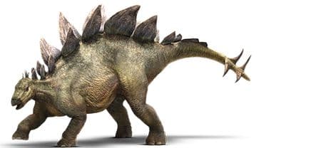 Dinosaure Stégosaure.