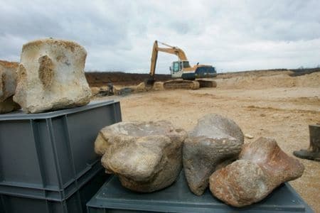 Angeac en Charente : fossiles de dinosaures.