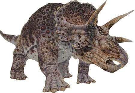 Un dinosaure Triceratops, qui mangeait des végétaux.