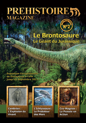 Dinosaures et préhistoire : article sur l'Apatosaurus.
