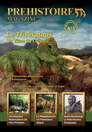 Dinosaure : magazine sur le Triceratops.