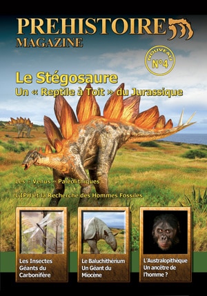 Préhistoire Magazine.