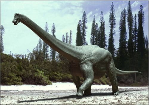 Diamantinasaurus matildae est un titanosaure lithostrotian.