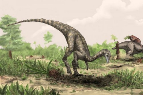 nyasasaurus.