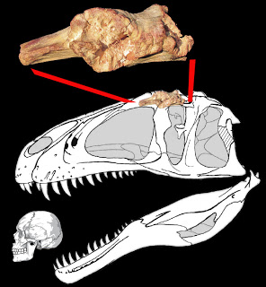 sauroniops.