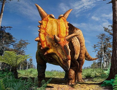 xenoceratops.