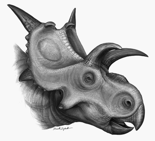 xenoceratops.