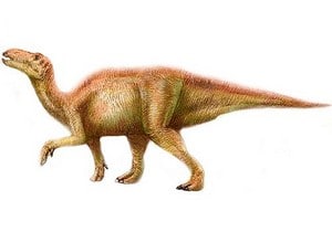 Le dinosaure Shantungosaurus serait le plus gros hadrosaure.