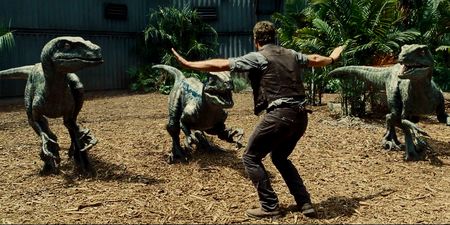 Velociraptors avec Owen Grady dans le film Jurassic World.