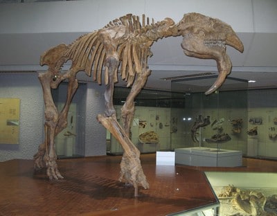 Deinotherium.