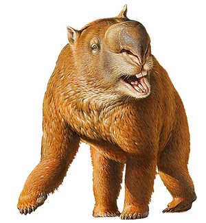 diprotodon.