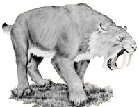 Smilodon.