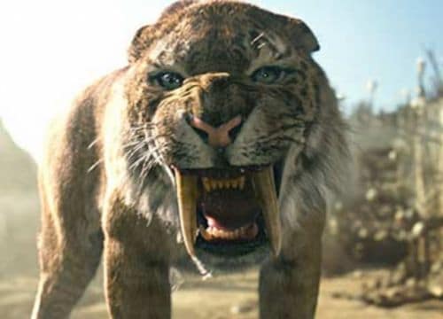 Le Smilodon est également appelé « Le Tigre à dents de sabre ».