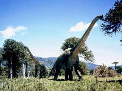 Brachiosaurus.