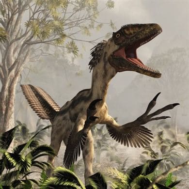 Dinosaure Deinonychus.