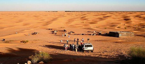 Dinosaure en Tunisie.