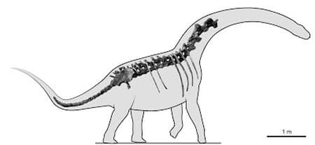 Overosaurus paradasorum.