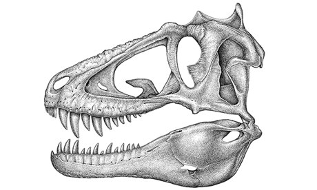 Lythronax Argestes.