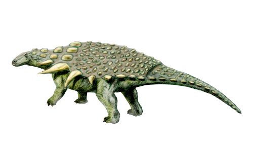 Le dinosaure Acanthopholis.