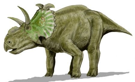 Dinosaure Albertaceratops.