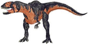 Dinosaure Bayosaurus.