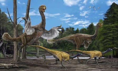 Le dinosaure Gigantoraptor.