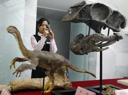 Fossile de Gigantoraptor.