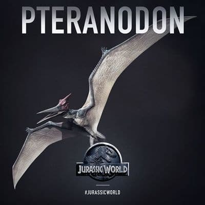 Pteranodon du film Jurassic World.