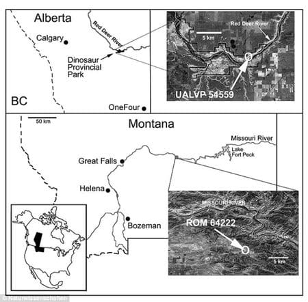 Les sites paléontologiques de découvertes de Mercuriceratops.