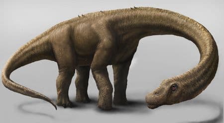 Le dinosaure Dreadnoughtus.