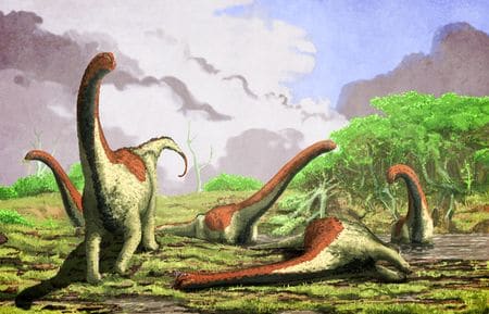 Le dinosaure Rukwatitan bisepultus.